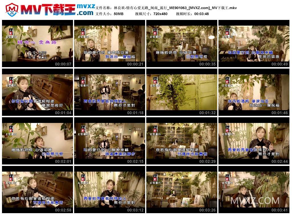 林良欢-情有心爱无路_闽南_流行_ME901063